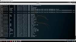 The Complete Ethical Hacking Bootcamp: Beginner To Advanced - Meterpreter Environment Instructional Video
