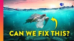 Why the Plastic Pollution Problem Is So Much Worse Than You Think Instructional Video