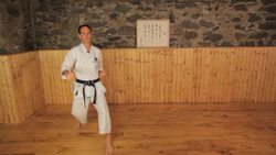 How to Do a Lunge Punch in Karate Instructional Video