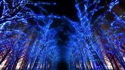 Neon Tree illumination Stock Footage