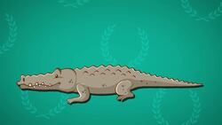 I WONDER - What Is The Largest Reptile In The World? Me Pregunto - Cuál Es El Reptil Más Grande Del Mundo? Instructional Video