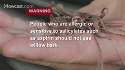 How to Make Aspirin If You Are Lost in the Woods Instructional Video