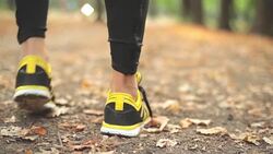 Man's legs with running sneakers in the forest / park. Stock Footage