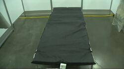 Maryland a hot spot, begins tracking data on race News Clip