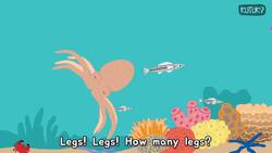 How many legs do Animals have? Instructional Video