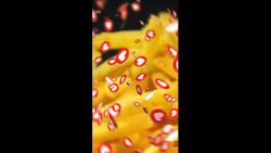 The Secrets Fast Food Chains Don't Want You to Know Instructional Video