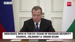 'Zelensky, You Green Scum': Putin Aide's Blistering Attack Over 'Despise Russians' Remark | Watch Instructional Video