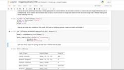 Create a computer vision system using decision tree algorithms to solve a real-world problem : [Activity] Classifying Images with a Simple CNN, Part 2 Instructional Video