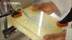 Golden secrets: uncovering how the Palme d’Or is made News Clip