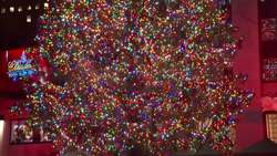 Celebrities and hundreds of onlookers attend annual lighting of the massive Christmas tree at Rockefeller Center Instructional Video