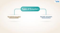 Introduction to Ecosystems and their Classification Instructional Video