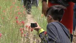 Parks in Focus Instructional Video