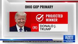 Primary results: Biden, Trump projected to sweep state contests News Clip