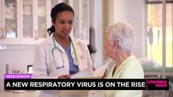 Cases of HMPV Respiratory Virus Spiked This Spring News Clip