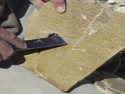 Explorando fósiles: introducción Instructional Video