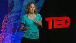 TED: Tough truths about plastic pollution | Dianna Cohen Instructional Video