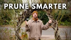 PRUNE SMARTER with these 3 questions Instructional Video
