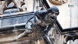 Cathedrals: Exploring the Architectural Wonders of Cathedrals Instructional Video