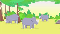 I WONDER - How Big Are Rhinos? Instructional Video