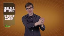 Dual-Sex Butterfly and the Risks of ... Oxygen Instructional Video