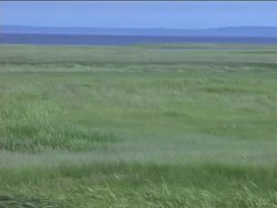 Weather Around Us: Wind Instructional Video