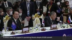 Trudeau looks for support in punishing Russia ahead of G20 summit News Clip