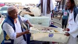 Sudan fishing industry: Catches cut as fighting goes on News Clip
