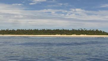 Coral Reef-cam: Study Shows Which Fish Clean Up Reefs