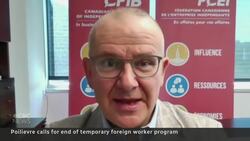 Poilievre wants temporary foreign worker program axed News Clip