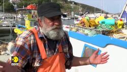 Greece acts to protect deep-sea ecosystems News Clip