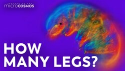 The 18th Century Tardigrade Debate Instructional Video