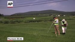 Los científicos temen que los insectos beneficiosos estén disminuyendo Instructional Video