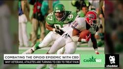 Super Bowl Champ: CBD Can Solve NFL's Opioid Problem News Clip