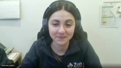 Beavers building waterfront home in Montreal suburb is a good thing, town says News Clip