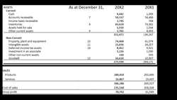 Analyzing the Balance Sheet for Management Questions Instructional Video