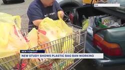 Environmental group data suggests NJ’s plastic bag ban has had positive impact on environment News Clip