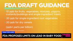 Today Explained: FDA Limit Lead In Baby Food News Clip