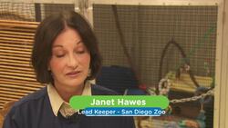 This Extremely Adorable Newborn Langer Is One of a Kind Instructional Video