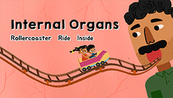 Exciting Adventures - Roller Coaster Ride Inside Instructional Video