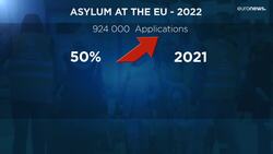 Brussels unveils plan to boost returns of irregular migrants News Clip