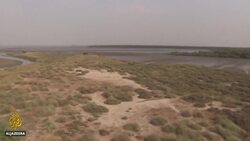 $50bn housing project threatens mangroves on Pakistani island News Clip