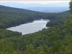 Exploring Freshwater Biomes: Summing Up Instructional Video