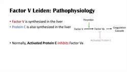 Factor V Leiden | Causes, Pathophysiology, Symptoms, Diagnosis, Treatment Instructional Video
