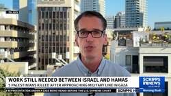 Ceasefire in Gaza holding despite killings News Clip