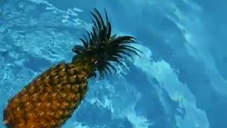 Pineapple Floating In blue Water In Swimming Pool. Healthy Raw Organic Food. Juicy Fruit. Vegetarian, Vegan Nutrition, Vitamins, Diet, summer holidays, vacation concepts. Exotic tropical background Stock Footage