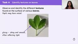 Make frottage leaf studies Instructional Video