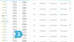 How to Be Your Own Travel Agent Instructional Video