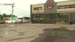 Trudeau urged to help Greyhound, but private companies could be the answer News Clip