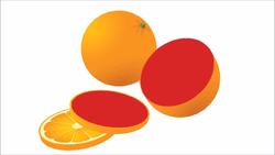 Shapes Everywhere! - Learning Shapes for Kids Instructional Video