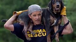 Dedicated Volunteers and Concerned Citizens Save Lost and Abandoned Animals After Hurricane Harvey Instructional Video